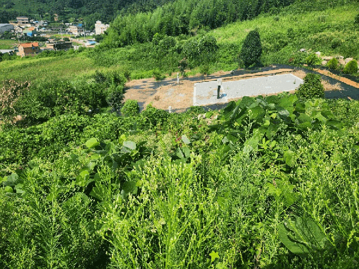 물건 사진 38