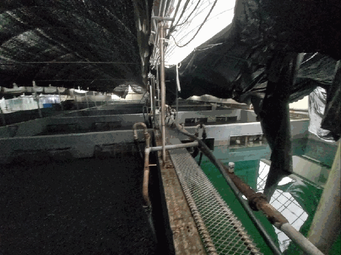 물건 사진 88