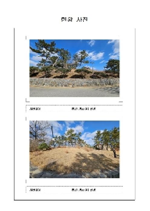 물건 사진 7