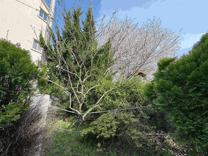 물건 사진 15