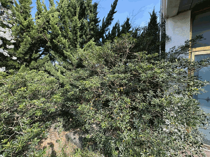 물건 사진 26