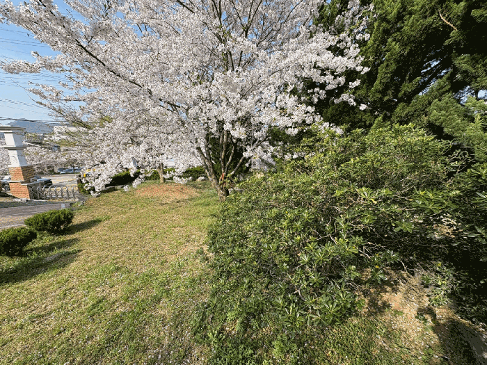물건 사진 42