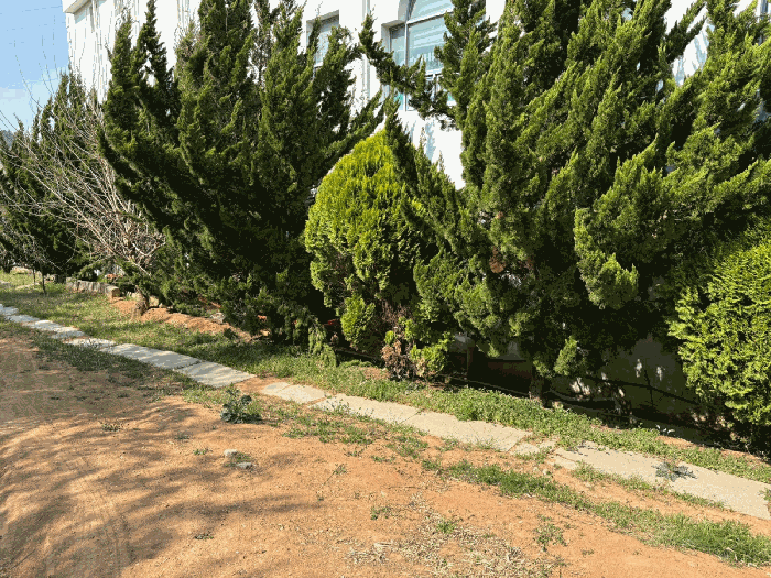 물건 사진 48