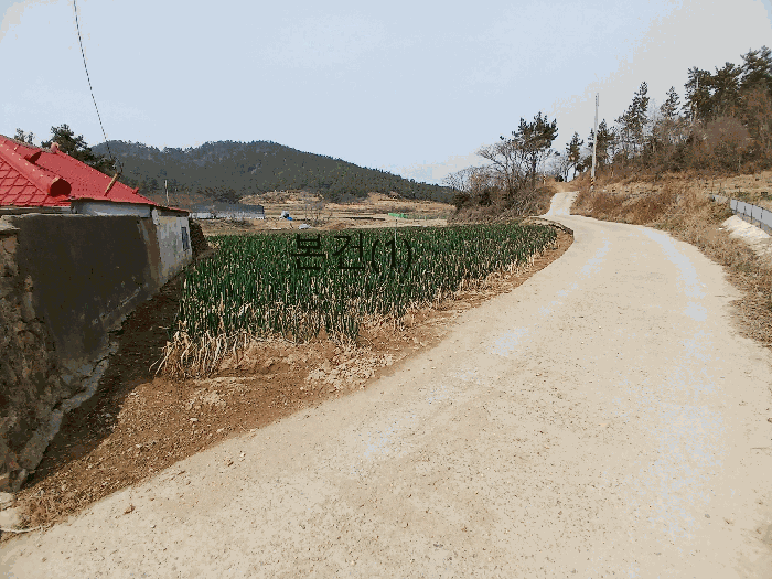 물건 사진 10