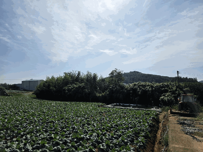 물건 사진 33