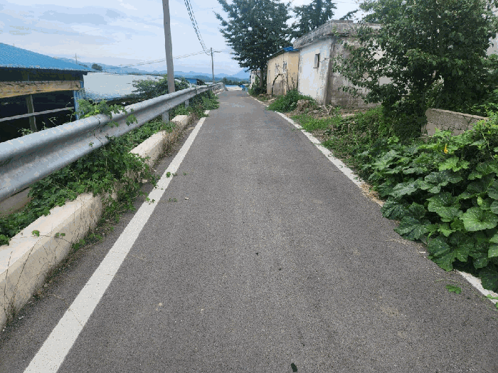 물건 사진 16
