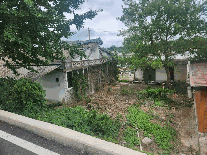 물건 사진 17