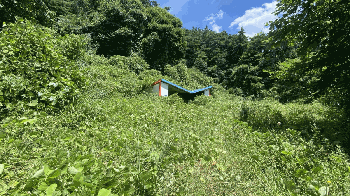 물건 사진 14