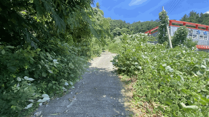 물건 사진 16