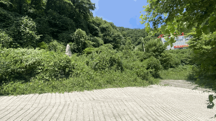 물건 사진 20