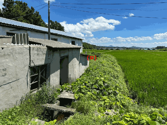 물건 사진 5