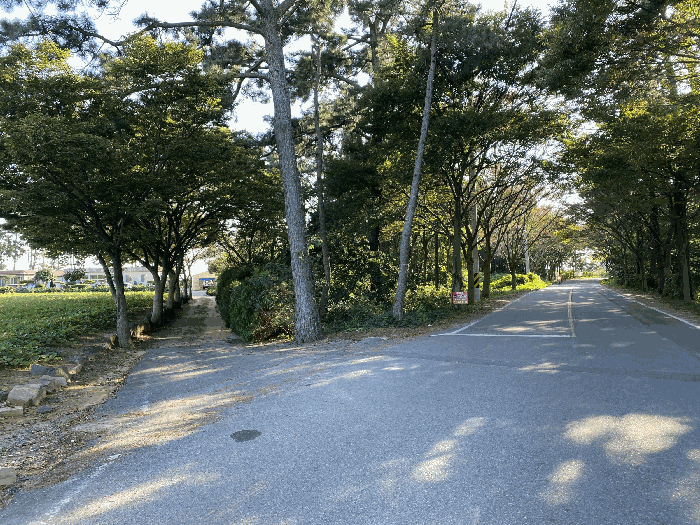물건 사진 26