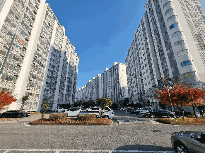 물건 사진 7