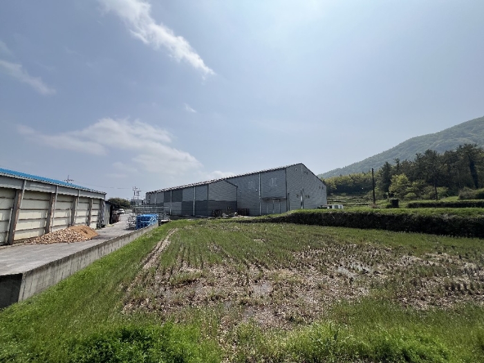 물건 사진 19