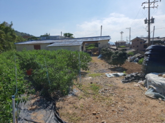 전라남도 장흥군 안양면 수문리 37-4 사진 1