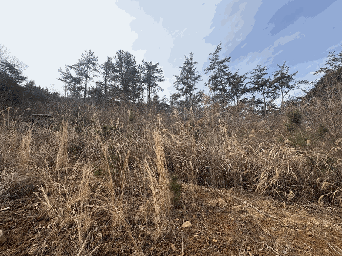 물건 사진 11