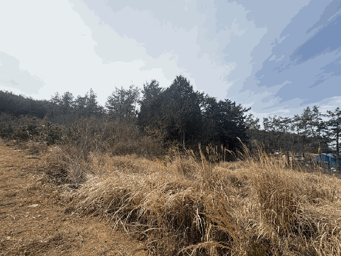 물건 사진 13