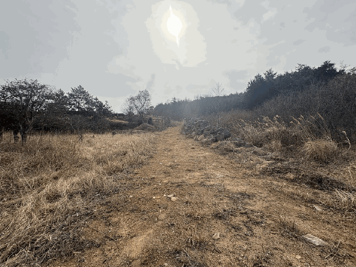 물건 사진 17