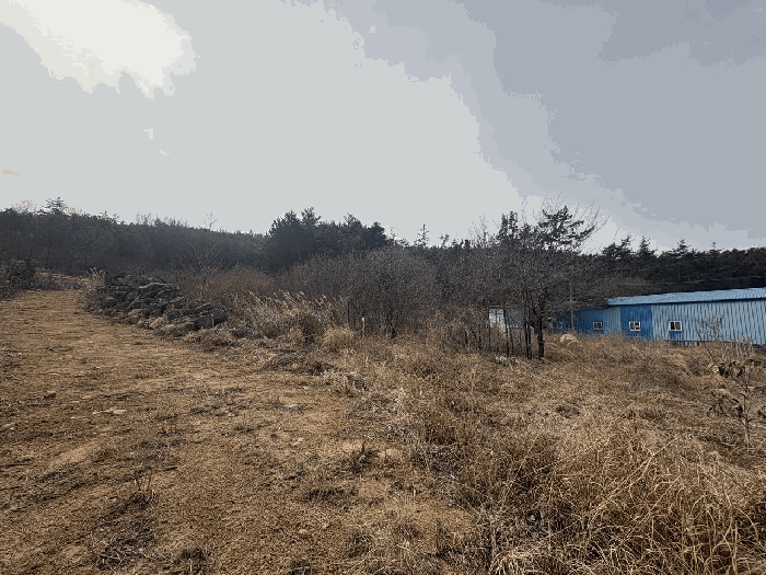 물건 사진 19