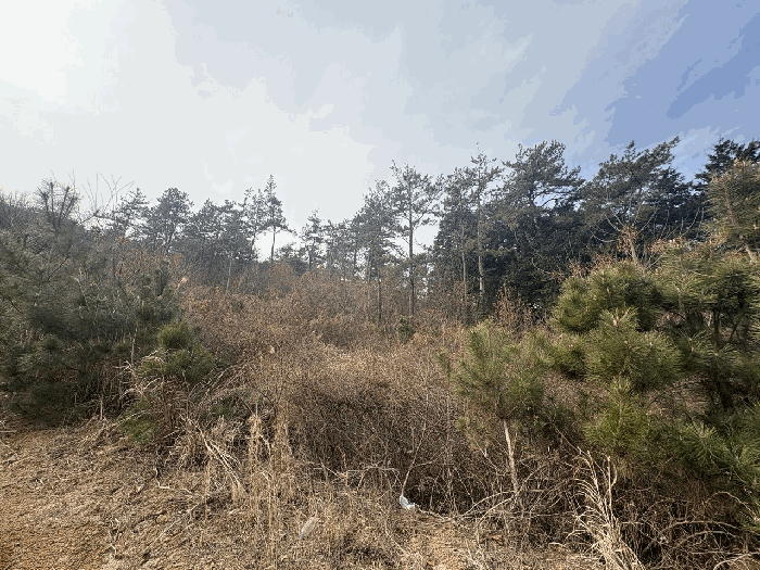 물건 사진 10