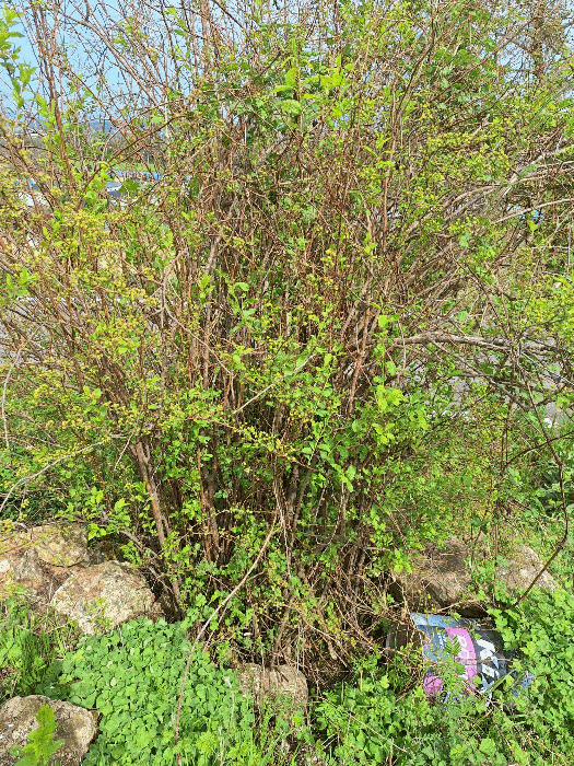 물건 사진 15