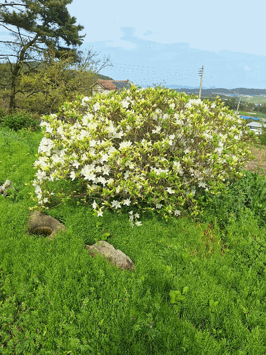 물건 사진 25