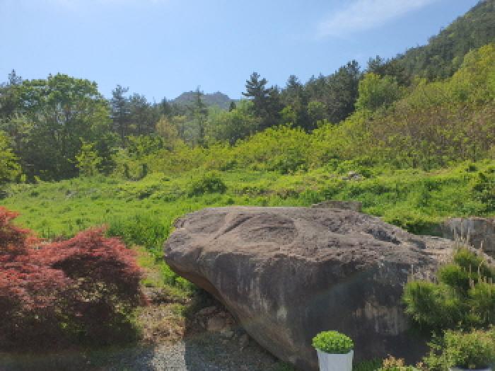 물건 사진 9