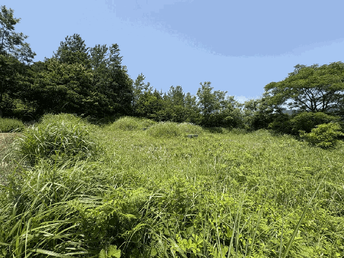 물건 사진 11