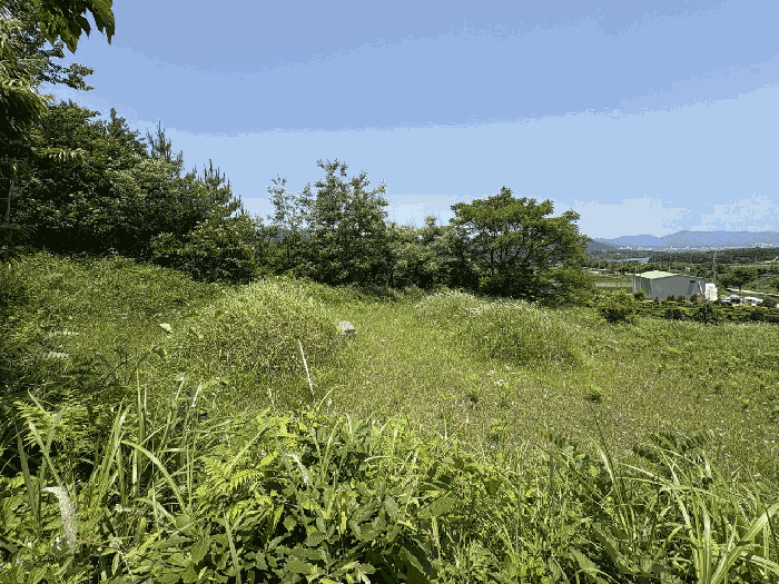 물건 사진 14