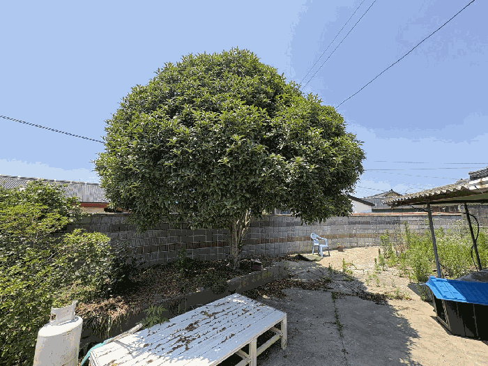 물건 사진 23
