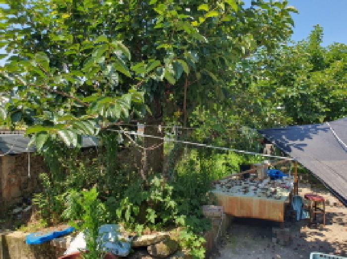 물건 사진 8