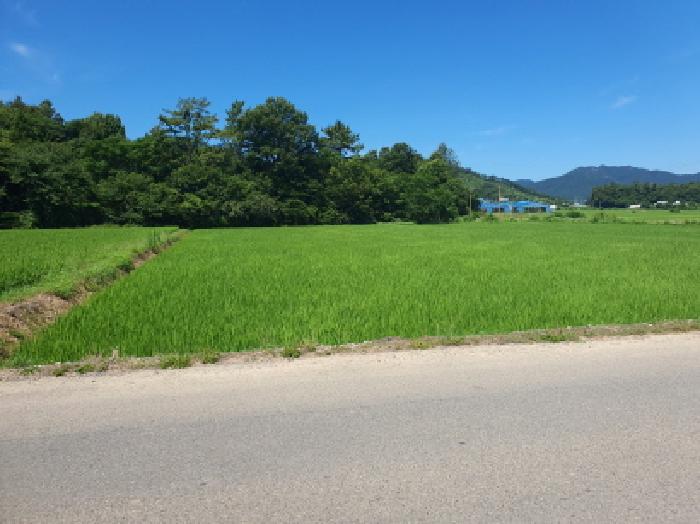 물건 사진 7