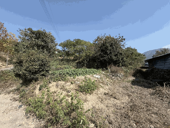 물건 사진 8
