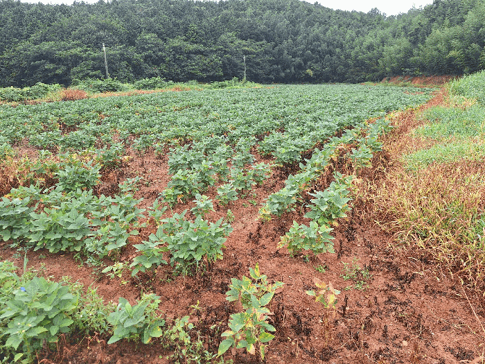 물건 사진 29