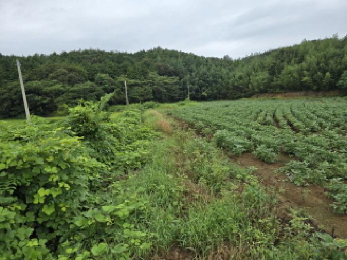 물건 사진 9