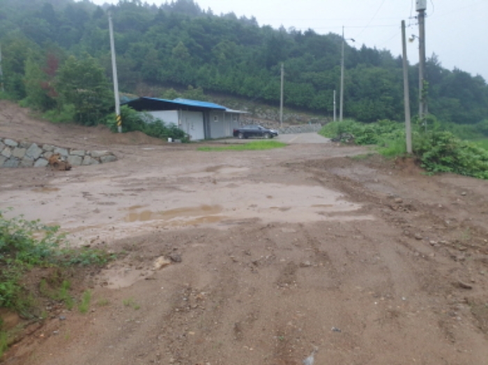 물건 사진 31