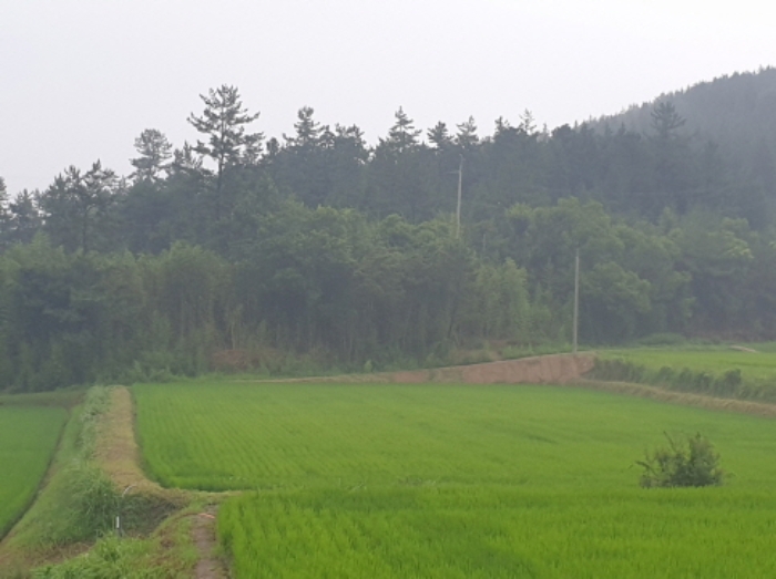 물건 사진 9