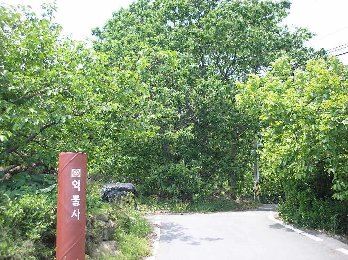 물건 사진 17