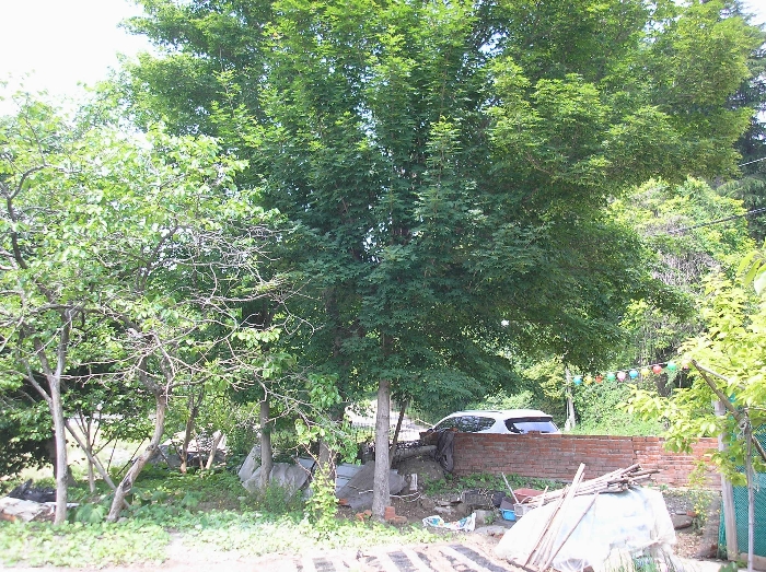 물건 사진 20
