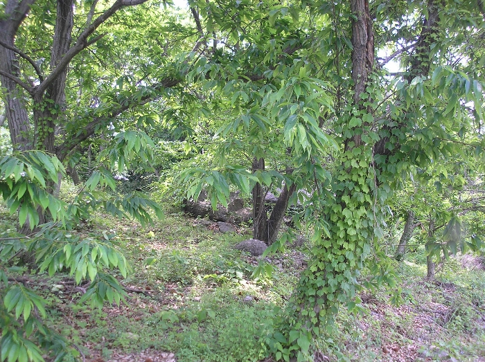 물건 사진 28