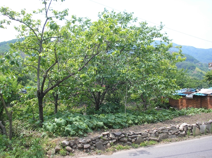 물건 사진 31