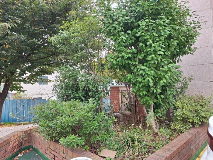물건 사진 27