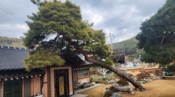 물건 사진 12
