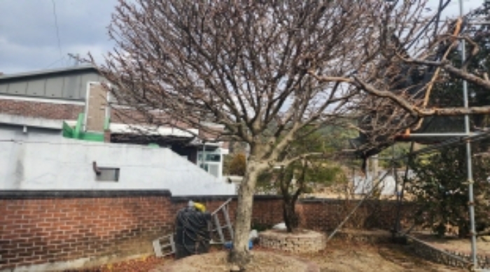 물건 사진 15