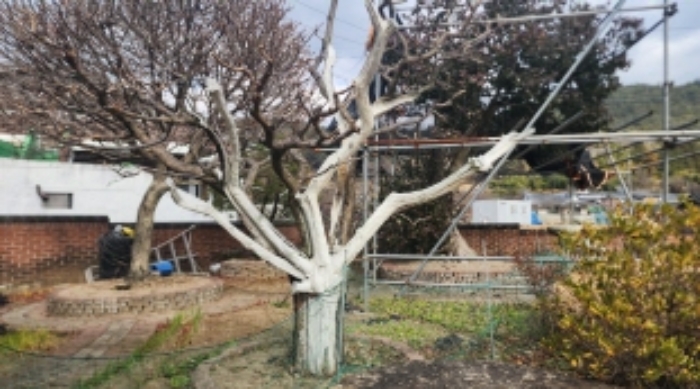 물건 사진 16