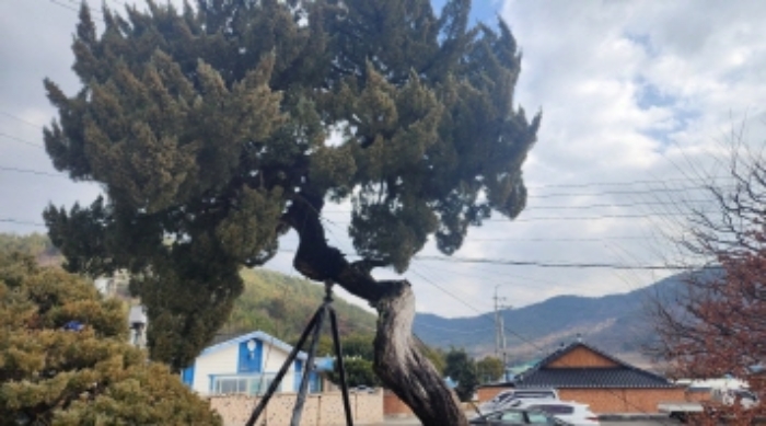 물건 사진 4