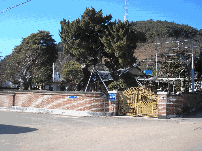 물건 사진 31