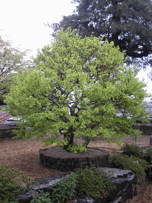 물건 사진 38