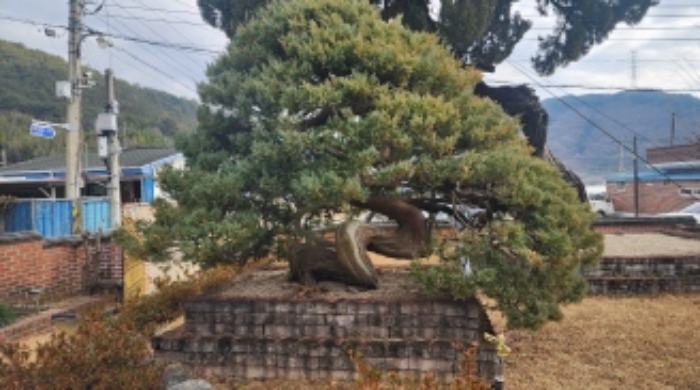 물건 사진 8