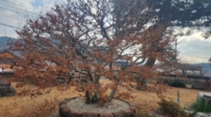 물건 사진 9